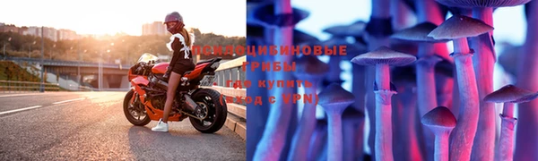 таблы Рославль