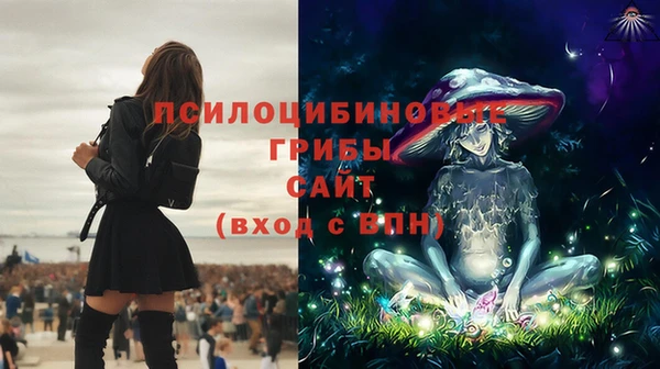 скорость Данков