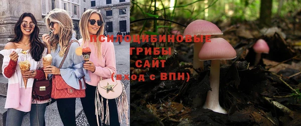 винт Абаза