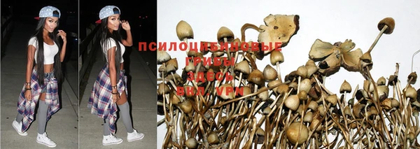 винт Абаза